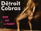 `Detroit Cobras, The - Mink, Rat Or Rabbit [LP] (corre (US IMPORT) VINYL LP NEW