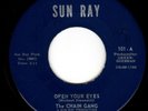 1967 N.Y. GARAGE 45 on Private One-Off Label - THE CHAIN GANG on SUN RAY - Hear