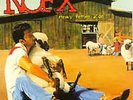NOFX - Heavy Petting Zoo [Used Very Good Vinyl LP]