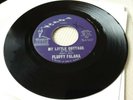 Northern soul  Fluffy Falana  /  My Little  Cottage