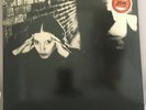 Lene Lovich - Stateless LP (UK Import)(SEEZ 7) Red