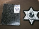 The Police Pic disc 
