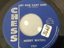 MUDDY WATERS - MY DOG CAN'T BARK / I GOT A RICH MAN'S WOMAN - CHESS 1937. VG+