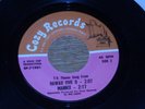 T.V. THEME SONGS, BILL JUSTIS. I SPY / MISSION IMPOSSIBLE / MANNIX / HAWAII FIVE