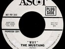 THE MUSTANG-Why-Rare Mod Soul Garage Shaker-Promo 45-Beatles-ASCOT #2231