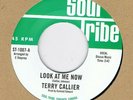 NORTHERN-TERRY CALLIER-LOOK AT ME NOW/ORDINARY JOE-CANADIAN SOUL TRIBE