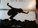 Eddie vedder Into The Wild MOV Vinyl used very good