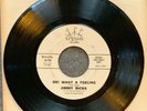 JIMMY RICKS OH  WHAT A FEELING FESTIVAL RECORDS 703 OL’ MAN RIVER DJ Promo Oh 45