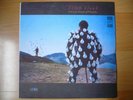 2 x LP PINK FLOYD 