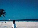 Lp-Steve Hiett-Down On The Road By The Beach (Lp (UK IMPORT) VINYL NEW