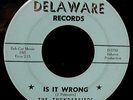 THE THUNDERBIRDS-Is It Wrong-Rare Garage 45-DELAWARE #D-1708