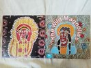 THE WILD MAGNOLIAS 12