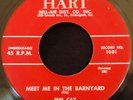 45 ROCKABILLY     PHIL CAY & Bluenotes   Meet Me In The Barnyard on HART -- HEAR