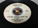 Thirteenth Floor Elevators You're Gonna Miss Me 45RPM Vinyl USED Piranha Records