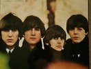 The Beatles For Sale 180g Vinyl Remaster