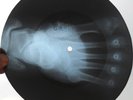 JOHNNY CASH - NED KELLY - UNIQUE USSR GEORGIAN X-RAY ROENTGEN BONES RECORD
