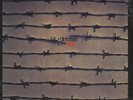 DIES IRAE First LP *SEALED* nurse with wound list armaggedon ash ra krautrock