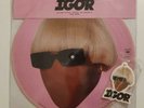 Tyler The Creator Faceless IGOR Picture Vinyl Disc NEW IN HAND w/ air freshener