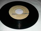 BLANK[STUDIO ONE]/VILLAGE SOUL - LENNIE HIBBERT [REGGAE INST.]   7