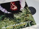The Juliana Hatfield Three - Become What You Are My Sister - Lemonheads