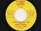 '60s Txs Teen/Frat Garage FREDDY KOENIG/JADES What Else Can I Do LORI M- HEAR