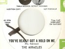 THE MIRACLES Youve Really Got A Hold On Me TAMLA DJ MOTOWN NORTHERN SOUL USA 45