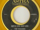 THE VOLUMES Gotta Give Her Love ASTRA DETROIT NORTHERN SOUL USA 45