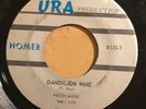 HOMER Dandelion Wine 45 on URA Texas Heavy Psych Garage non-LP HEAR