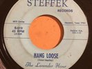 THE LAVENDER HOUR Hang Loose / I'm Sorry 45 on Steffek Texas garage HEAR