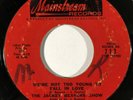 JACKIE BEAVERS SHOW We're Not Too Young to Fall in Love Northern Soul 45 HEAR