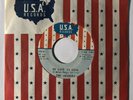 SHADOWS My Love Is Gone / No Other Love U.S.A. Northern Soul NM 45 HEAR