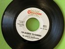 Garage Psych Rock 45 The Jefferson Handkerchief I'm Allergic to Flowers