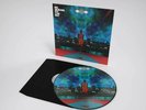 NOEL GALLAGHERS HIGH FLYING BIRDS - THIS IS THE PLACE LTD PICTURE DISC VINYL 12