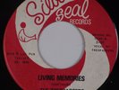 THE TRESPASSERS: Living Memories US Silver Seal Psych Garage Monster 45 NM- HEAR