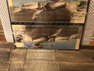 WIDESPREAD PANIC- SPACE WRANGLER ORIGINAL 1988 LANDSLIDE RECORDS SELAED.
