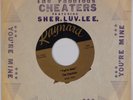 THE CHEATERS: You’re Mine RAYNARD Wisconsin Rare Sleeve Soul Garage 45 HEAR