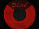 DAYBREAKERS: Psychedelic Siren / Afterthoughts 45 (plays well)