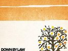 DOWN BY LAW-QUICK HITS LIVE IN STUDIO (COLV) (LTD) (ORG (US IMPORT) VINYL LP NEW