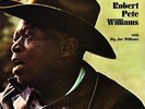 Robert Pete Williams With Big Joe Williams - LP OVP- Pure Pleasure Records ?225