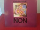 NON - Physical Evidence UK LP 1982 MONO Boyd Rice Death in June Record Album
