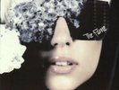 Fame - Lady Gaga (2008, Vinyl NEU)2 DISC SET
