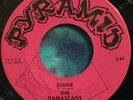 The Damascans  45  Diane / Go ‘Way Girl   PYRAMID  Rare  GARAGE