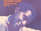 Marvin Gaye - That's The Way Love Is LP - Vinyl Record - R&B Soul Album