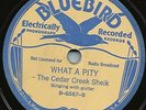 BLUES - CEDAR CREEK SHEIK 