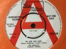 THE MIRACLES: DEMO COPY 