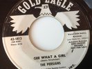 PERSIANS - GEE WHAT A GIRL / LOVE ME TONIGHT - GOLD EAGLE PROMO 1813. VG+