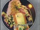 LED ZEPPELIN CHRIS TETLEY INTERVIEWS  RARE Vinyl Record Picture Disc
