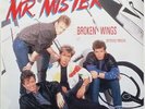 Mr. Mister Broken Wings (Extended Version) Europe 12