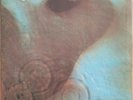 Vinyl 12