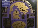 King Gizzard And The Lizard Wizard ?